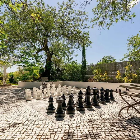 Villa Thebougainvilla Our Oceanview In The Hills